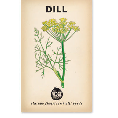 The Little Veggie Co - Dill Common Heirloom - Seeds
