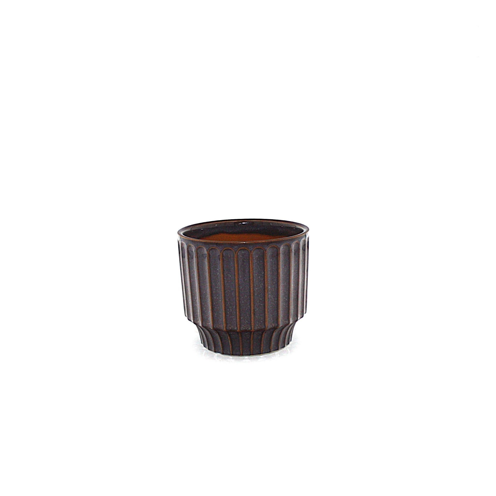 Potted - Small Pillar Plum - Planter