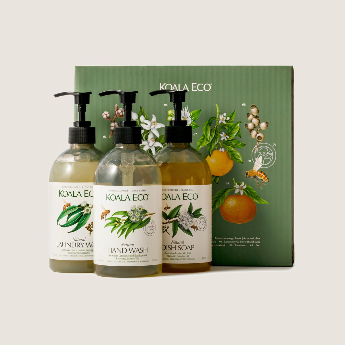 Koala Eco Nature Studies Gift Set