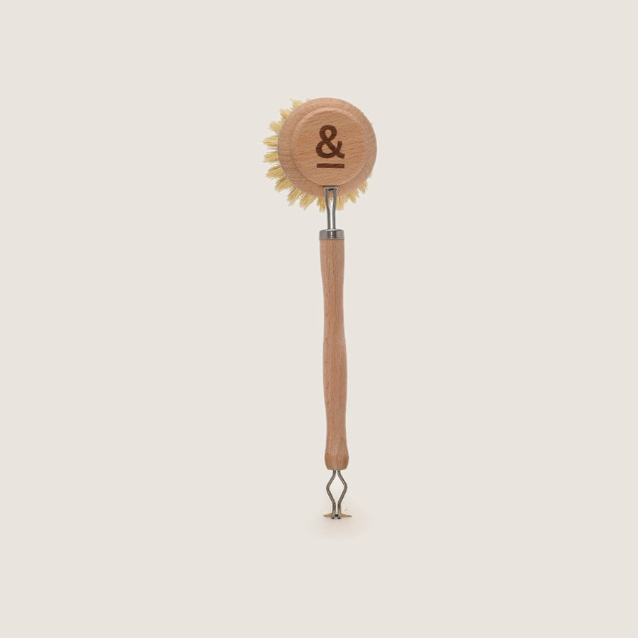 Seed & Sprout Dish Brush Head Replacement