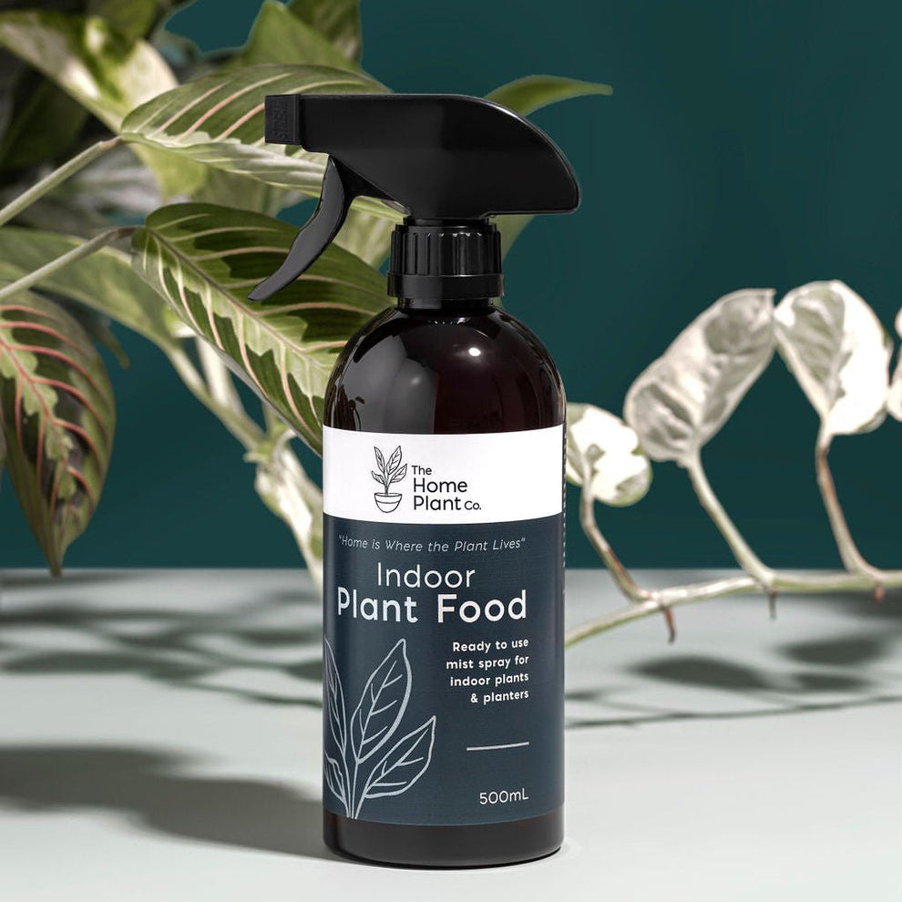 The Home Plant Co - Indoor Plant Food - Foliar Spray