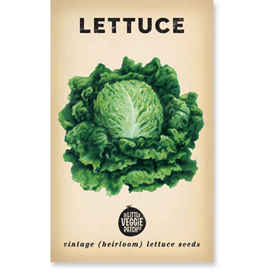 The Little Veggie Co - Lettuce Oakleaf Heirloom - Seeds