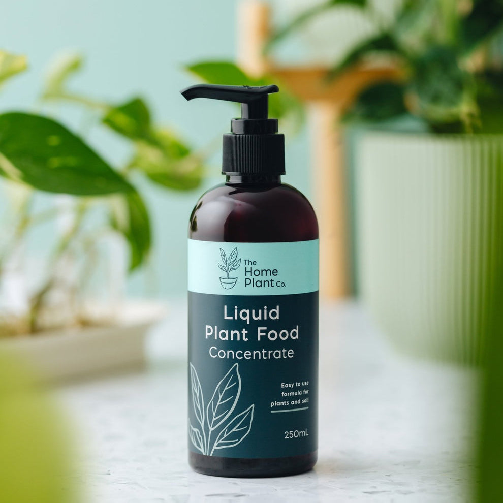 The Home Plant Co - Liquid Concentrate - Plant Food