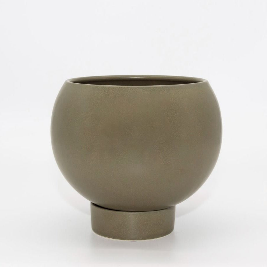 Potted - Medium Jade Orbit - Plant Pot