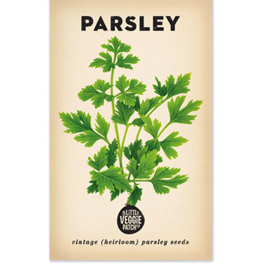 The Little Veggie Patch Co - Parsley Italian Heirloom - Seeds