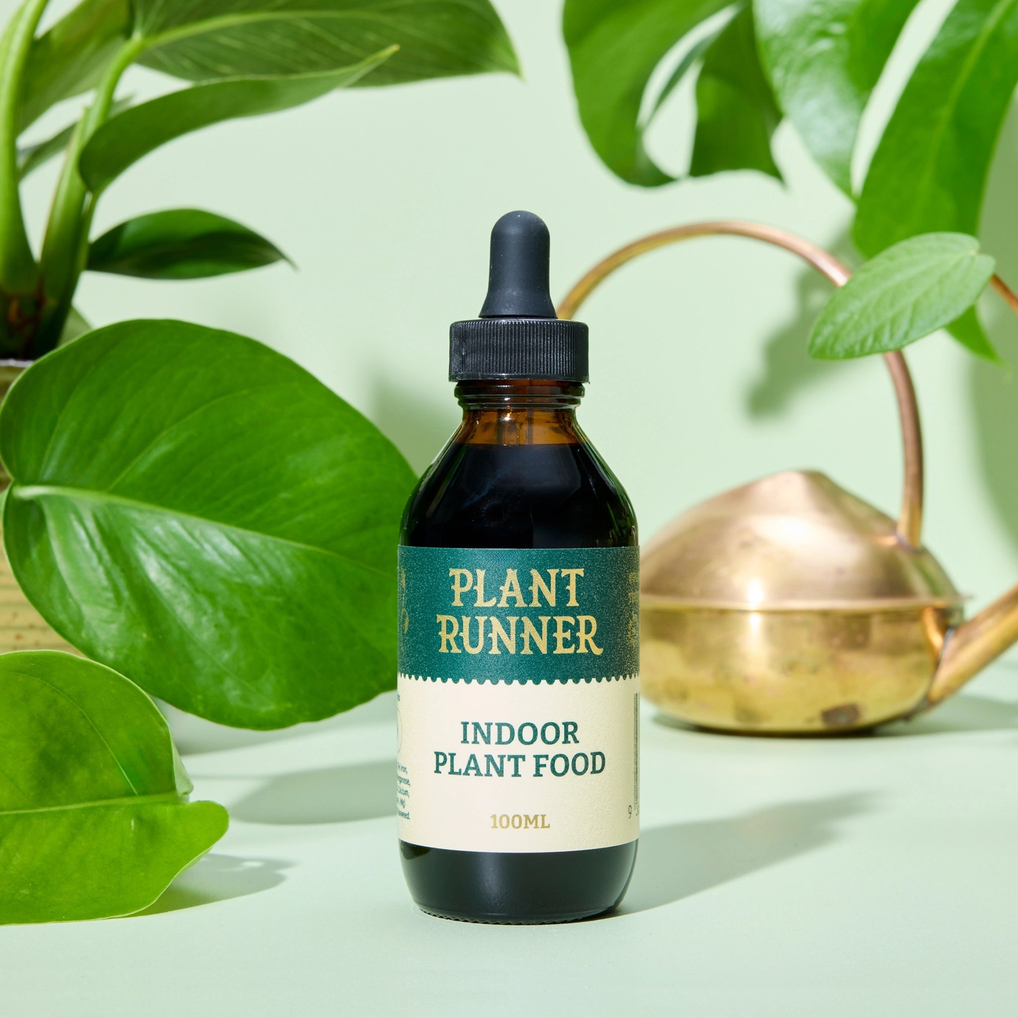 Indoor Plant Food 100ml styled with houseplants