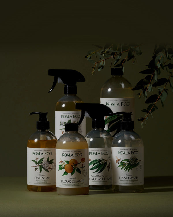 Koala Eco - Best Seller Collection
