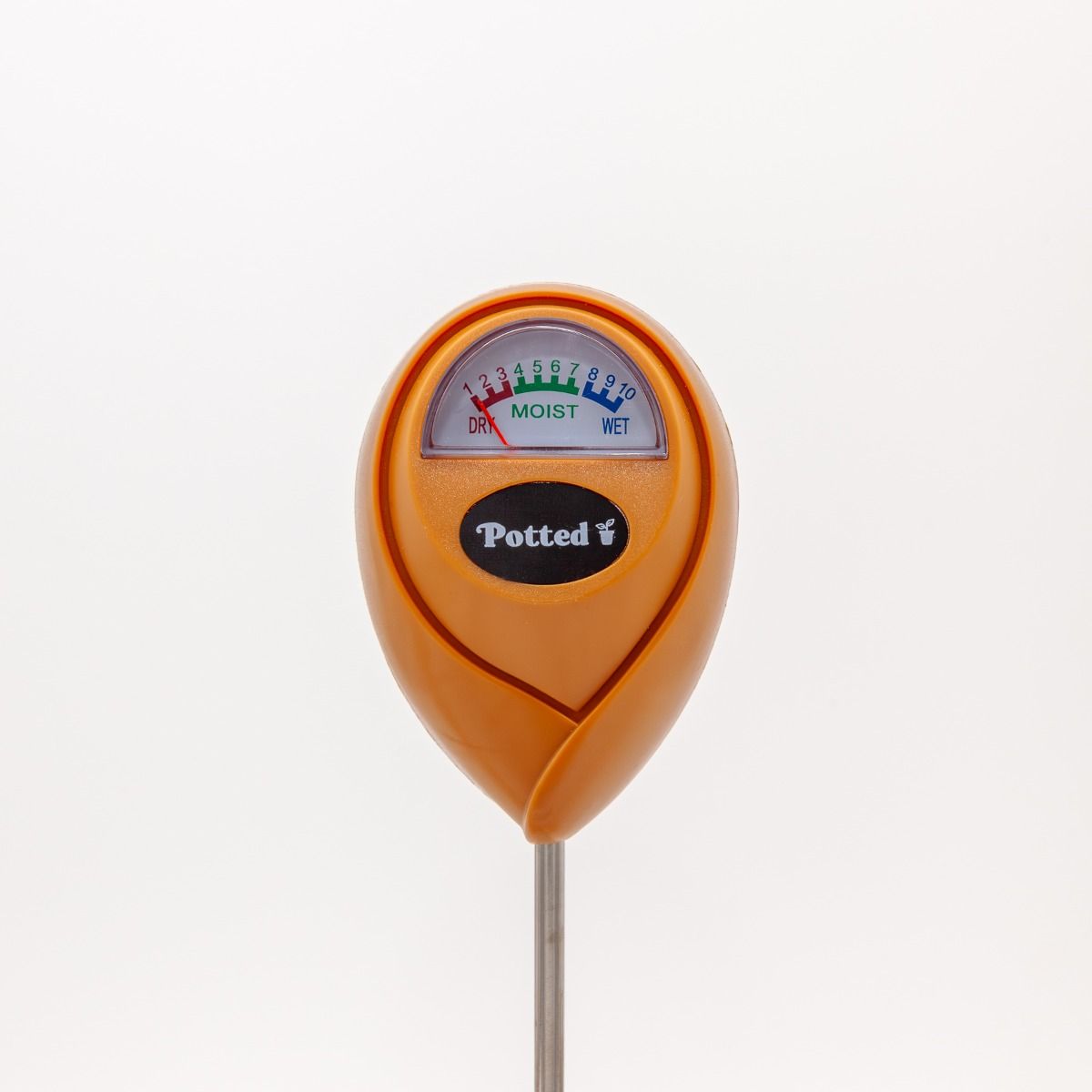 Potted - Indoor Cinnamon - Moisture Meter