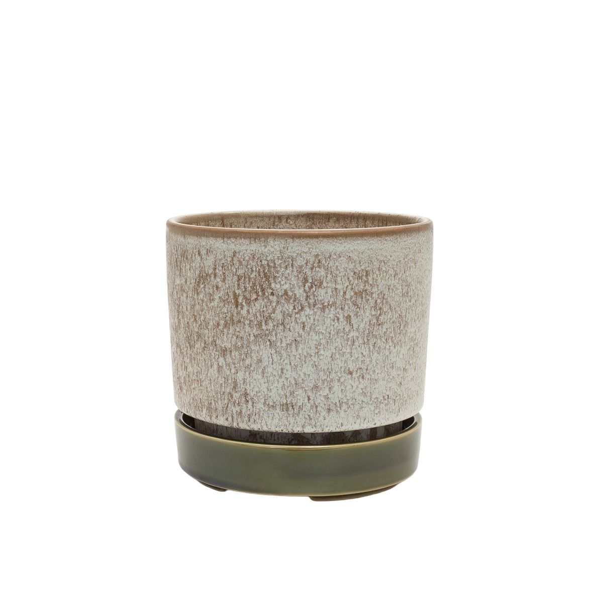Potted - Limestone Pollock - Planter