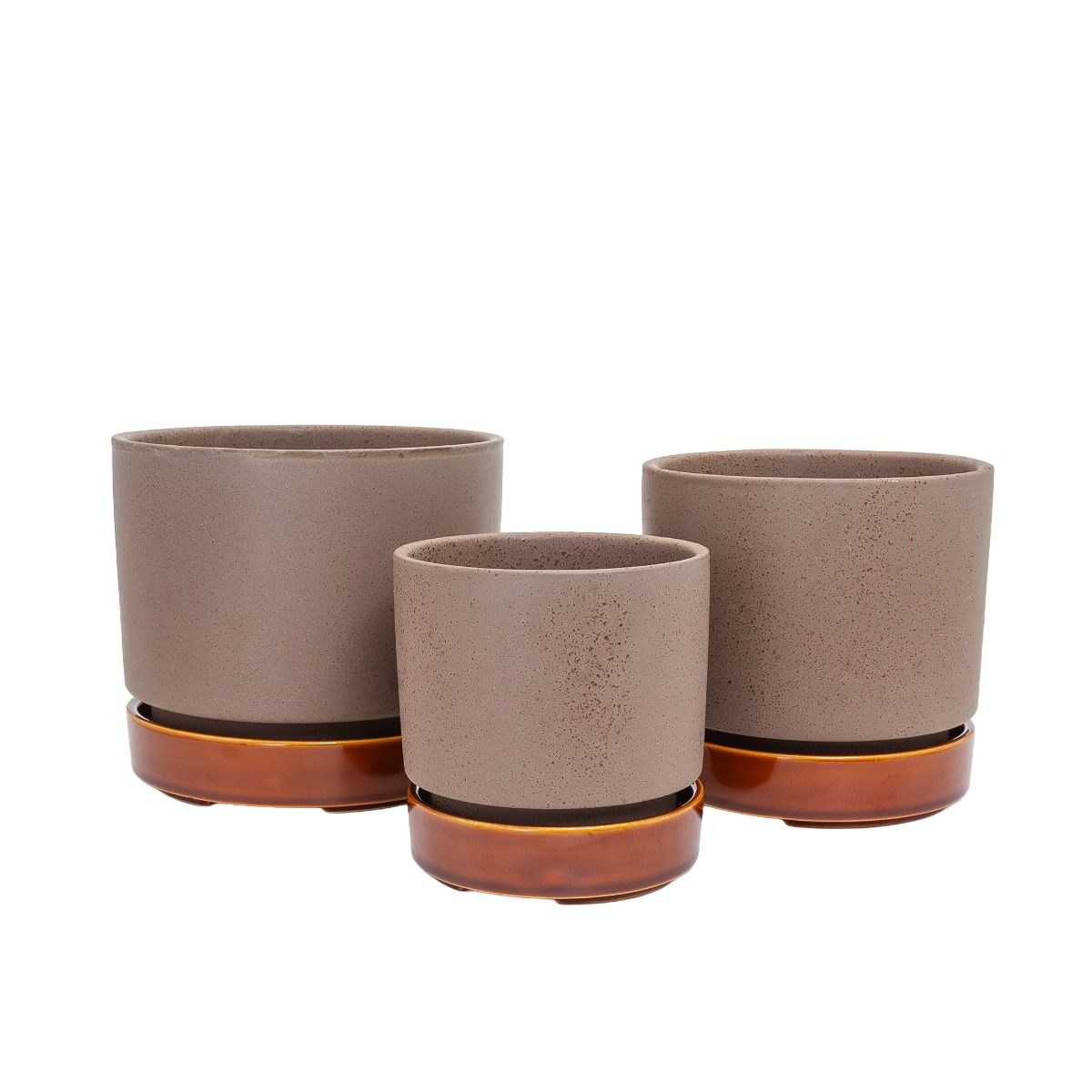 Potted - Oxide Pollock - Planter
