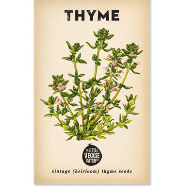 The Little Veggie Patch Co - Thyme Summer Heirloom - Seeds